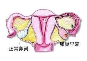 检查输卵管的方法有哪些?