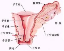 成都宫外孕病人应当知道哪些问题?
