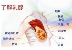 成都棕南妇科医院